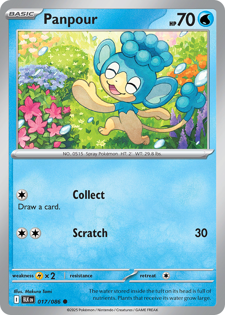 Panpour - 017/086 - pokeBallReverseHolofoil - Black Bolt