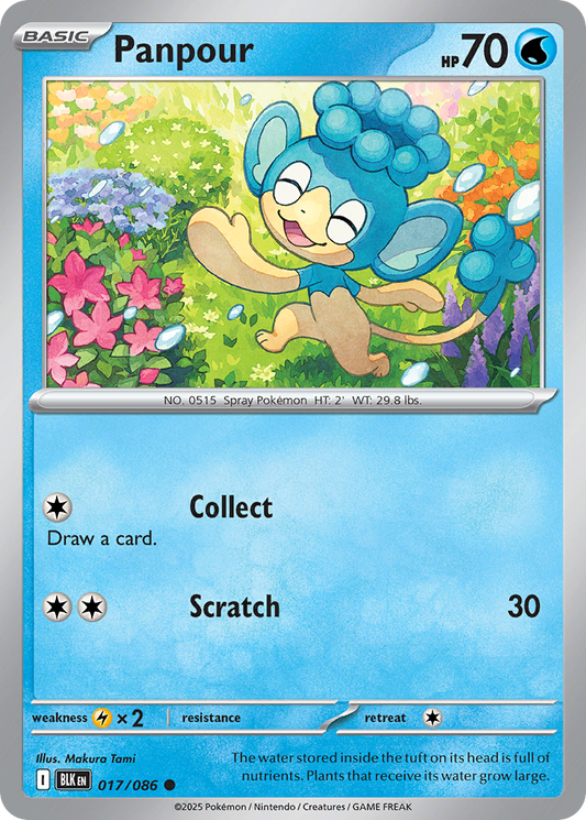 Panpour - 017/086 - pokeBallReverseHolofoil - Black Bolt