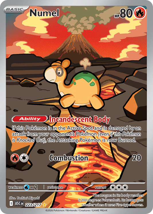 Numel - 223/217 - holofoil - Ascended Heroes