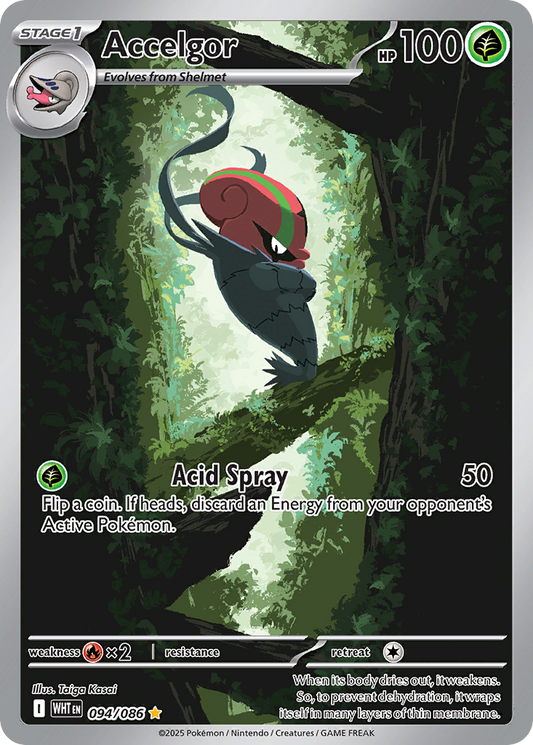 Accelgor - 094/086 - holofoil - White Flare